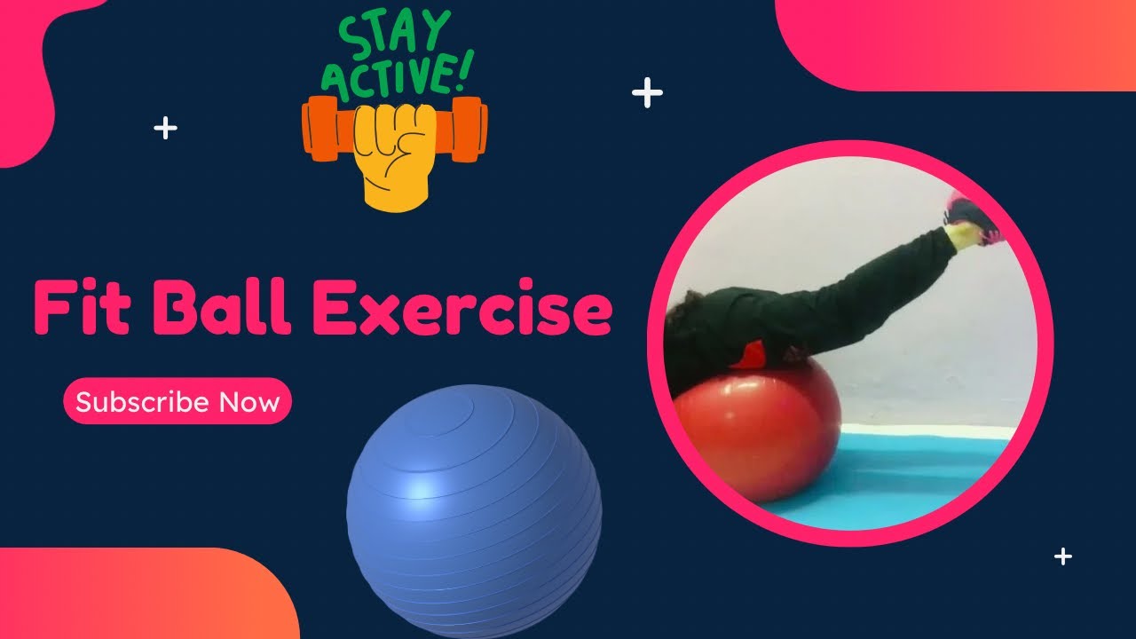 Exercise with Swiss Ball How to use Therapy Ball/Stability Ball