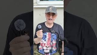 Wireless Lavalier Microphones - Avoid Hanmer brand! #techadvice #vlogshorts