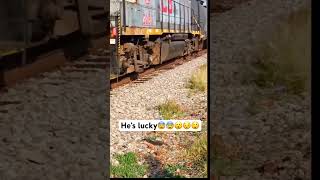 Dog Dodges Being Ran Over By Train