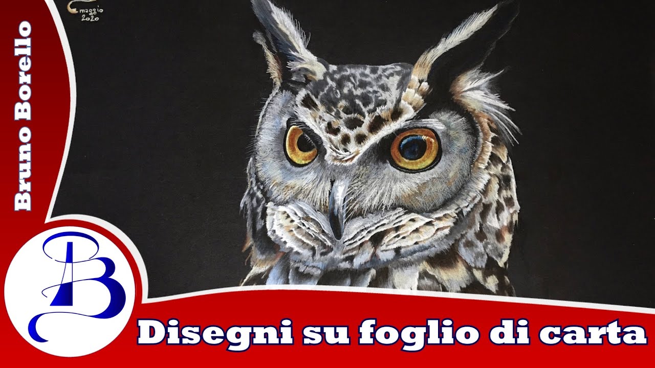 Gufo Reale