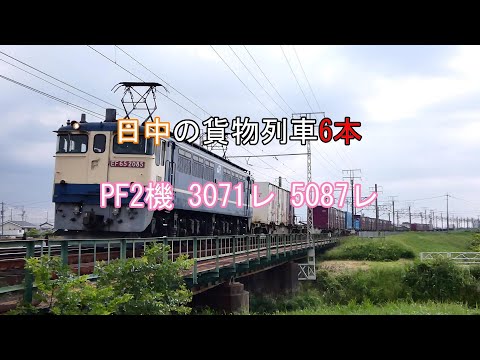 JR貨物 2024/05/25 連続PF2機が3071レと5087レ 安間川橋りょうの