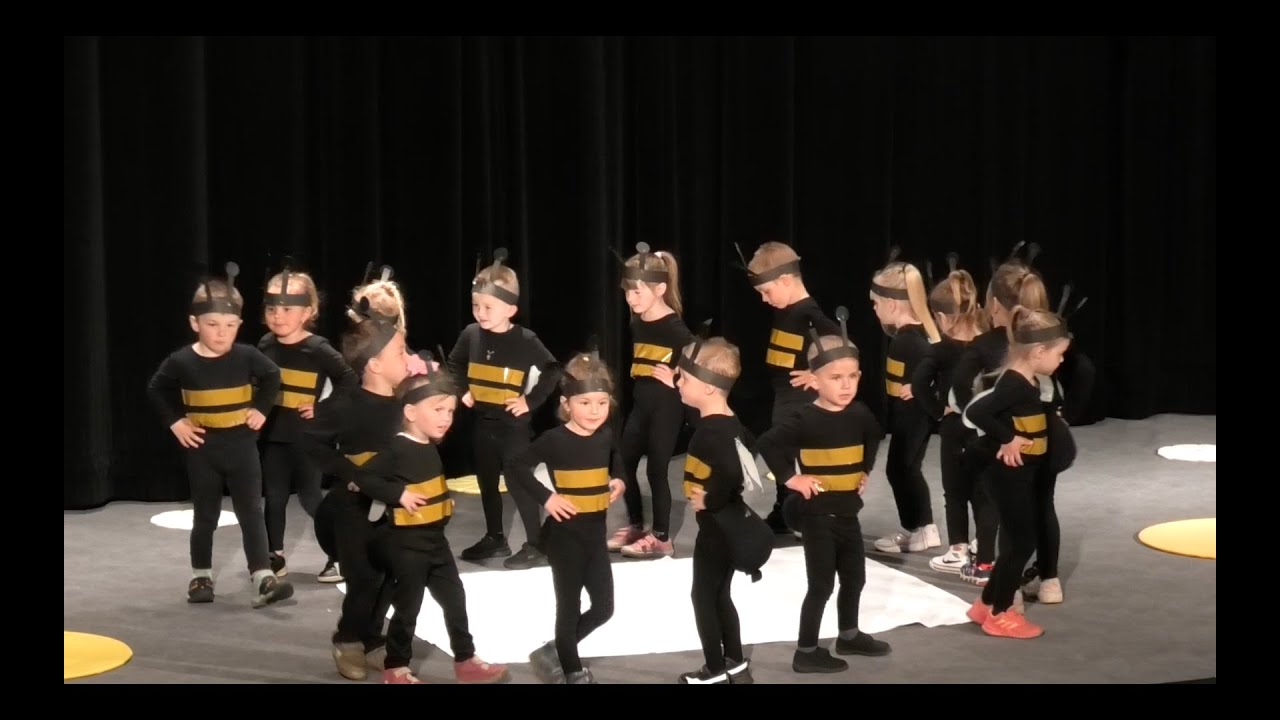 Akademie 2023 - 4. třída: Včelí medvídci