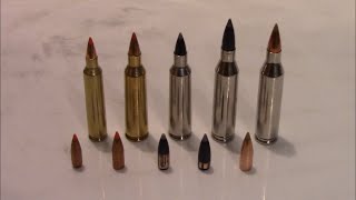 22-250 vs 243 vs 204 Ruger