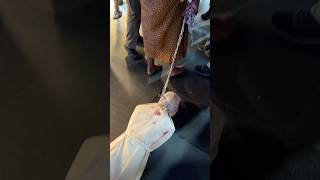 Halloween Costume Party #shorts #halloween #thailand