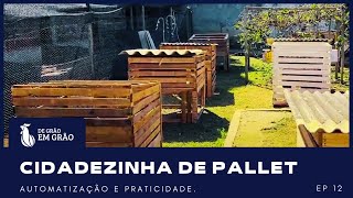 CIDADEZINHA CRESCEU! incrível atualização sobre galinheiros moveis |  EP 11