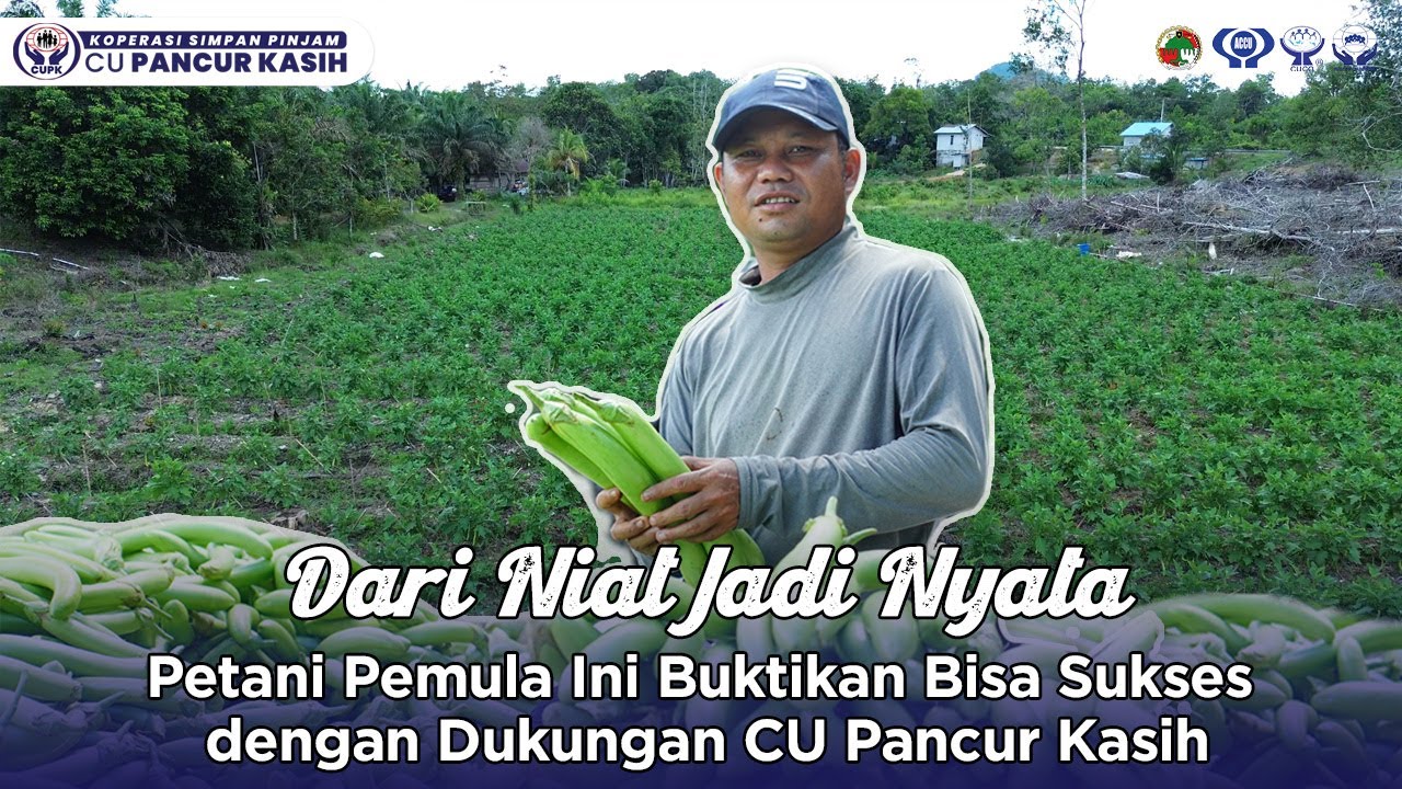 Dari Niat Jadi Nyata: Petani Pemula Ini Buktikan Bisa Sukses dengan Dukungan CU Pancur Kasih