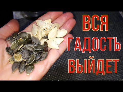 Видео: Какво е паразитно теглене на батерия?