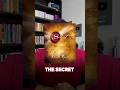 The Secret (Law of Attraction) #shorts #manifestanything