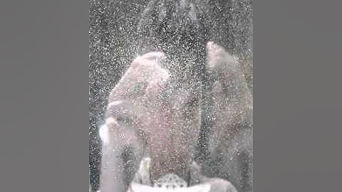 An Algorithmic Architecture For Seasons