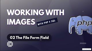 02 The File Form Field