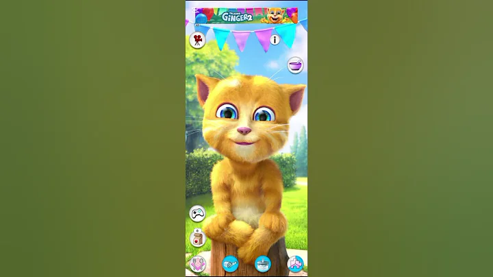 Video 11650751: talking tom cat funny