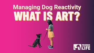 Managing Dog Reactivity  What is ART? (Part 1)