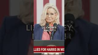 Liz Cheney gives PERFECT REASON on why she’s voting for VP Harris