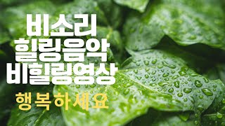 비소리, 힐링음악, 힐링영상(Sound of rain, healing music, rain healing video)파트너스 활동의 일환으로 수수료을 일부 제공받습니다