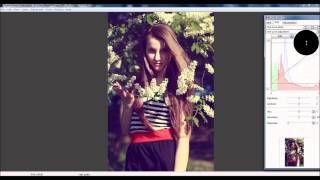 How to create vintage colours in Digital Photo Professional or other programs using RGB curves screenshot 5