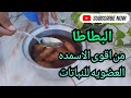 طريقه عمل سماد البطاطا للنباتات وطريقه تسميد النباتات بسماد البطاطا وأهميته افضل الاسمده العضويه