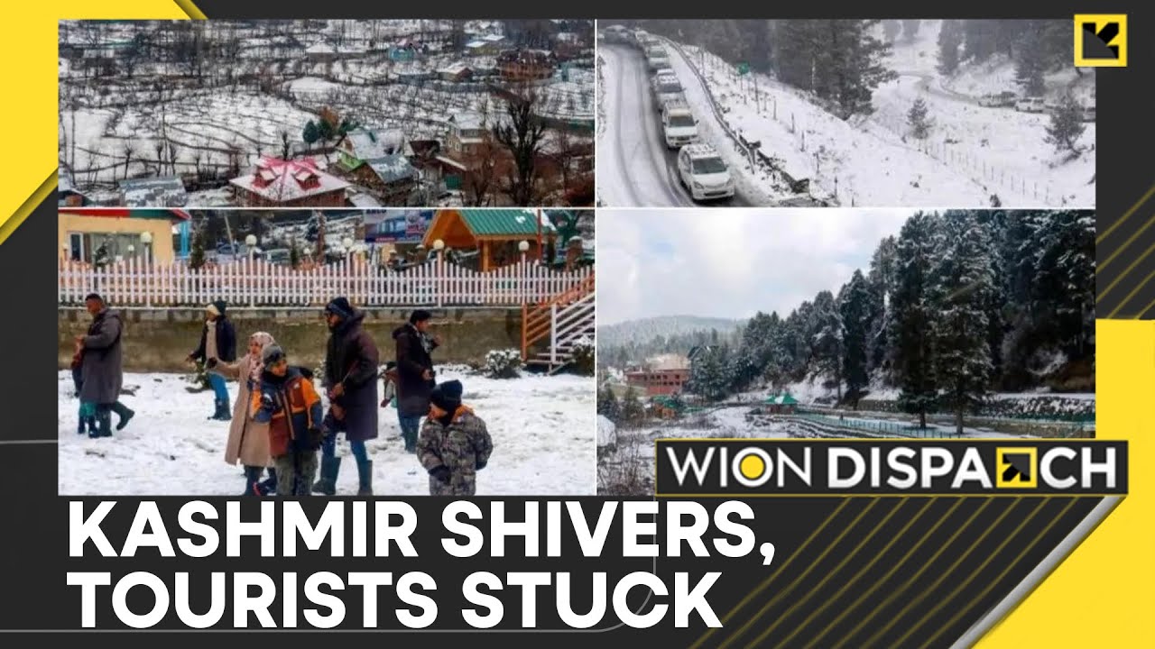 Kashmir: Heavy snow carpets across valley | WION Dispatch
