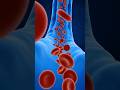 The 5 WORST Foods Causing Chronic Inflammation Stop Eating Them NOW!