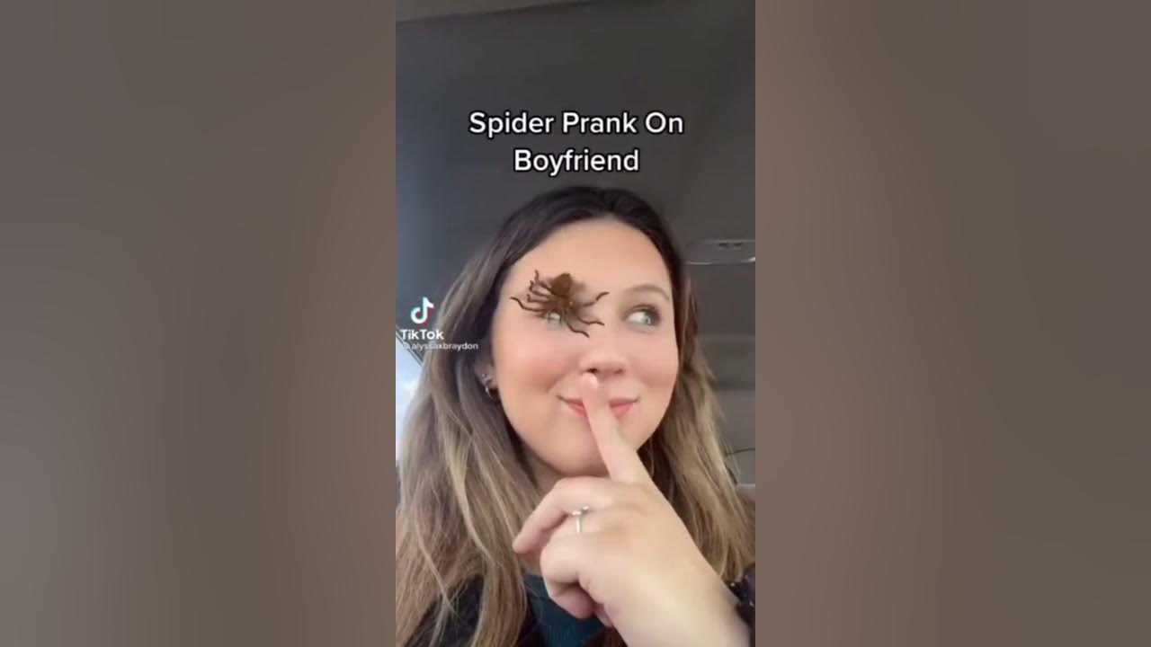 Spider filter prank compilation YouTube