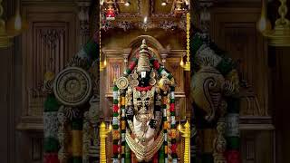 Venkateswara Swamy Songs | Tiruveedhula Puravasa Srinivasuda Song | #YTShorts | Lord Balaji Songs
