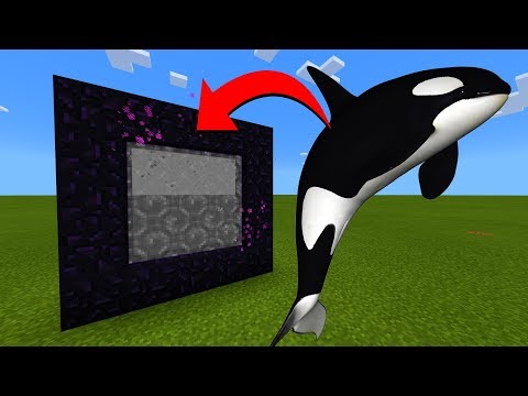 How To Make A Portal To The Orca Whale Dimension in Minecraft!