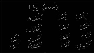 Arabic Lesson #23 - Lite and Litest Verbs screenshot 1