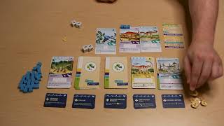 How to play PaleoVet