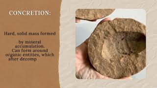 Distinguishing Archaeological Artifacts from Natural Stone Objects