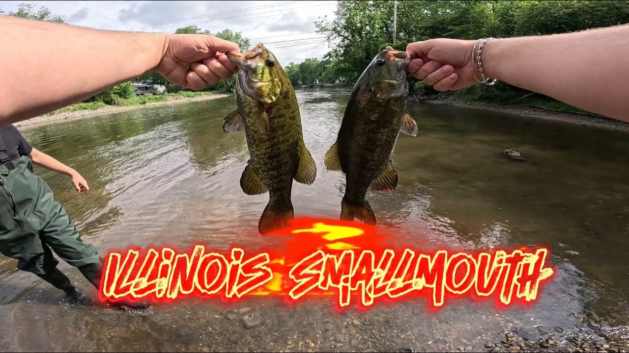 Fox River, Illinois Smallmouth Bass Fishing!