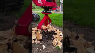 Fecon Stumpex Skid Steer Stump Grinder Attachment