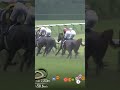 宝塚記念2026 メイショウタバル 武豊