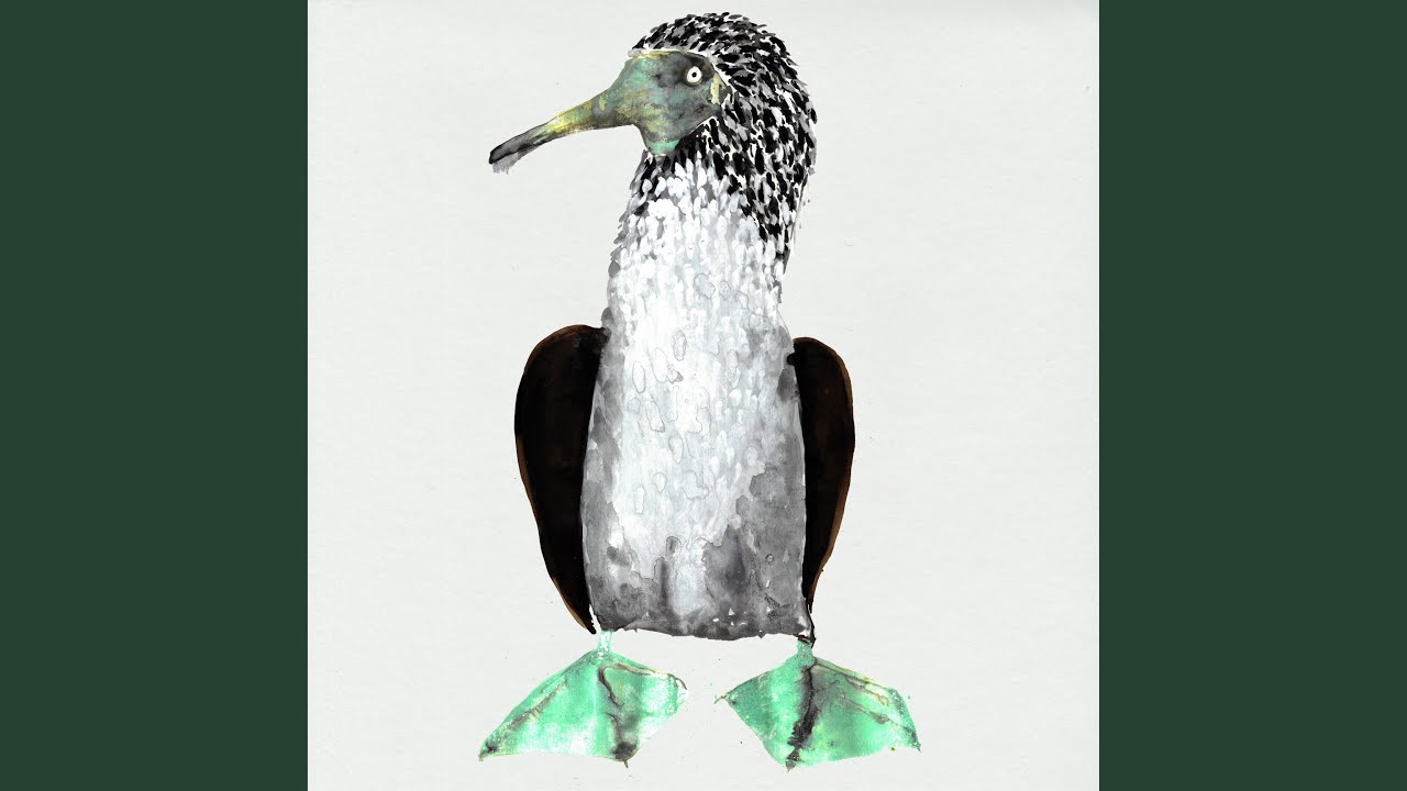 Flamingos Youtube Music 