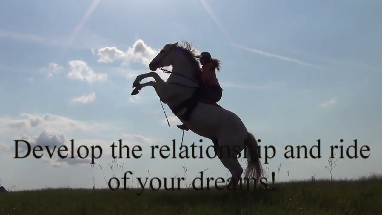 BESTE Holistic Horse Training & Riding Program The MasteryMembership