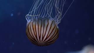 Jim Ratcliffe's empire suffers more pain