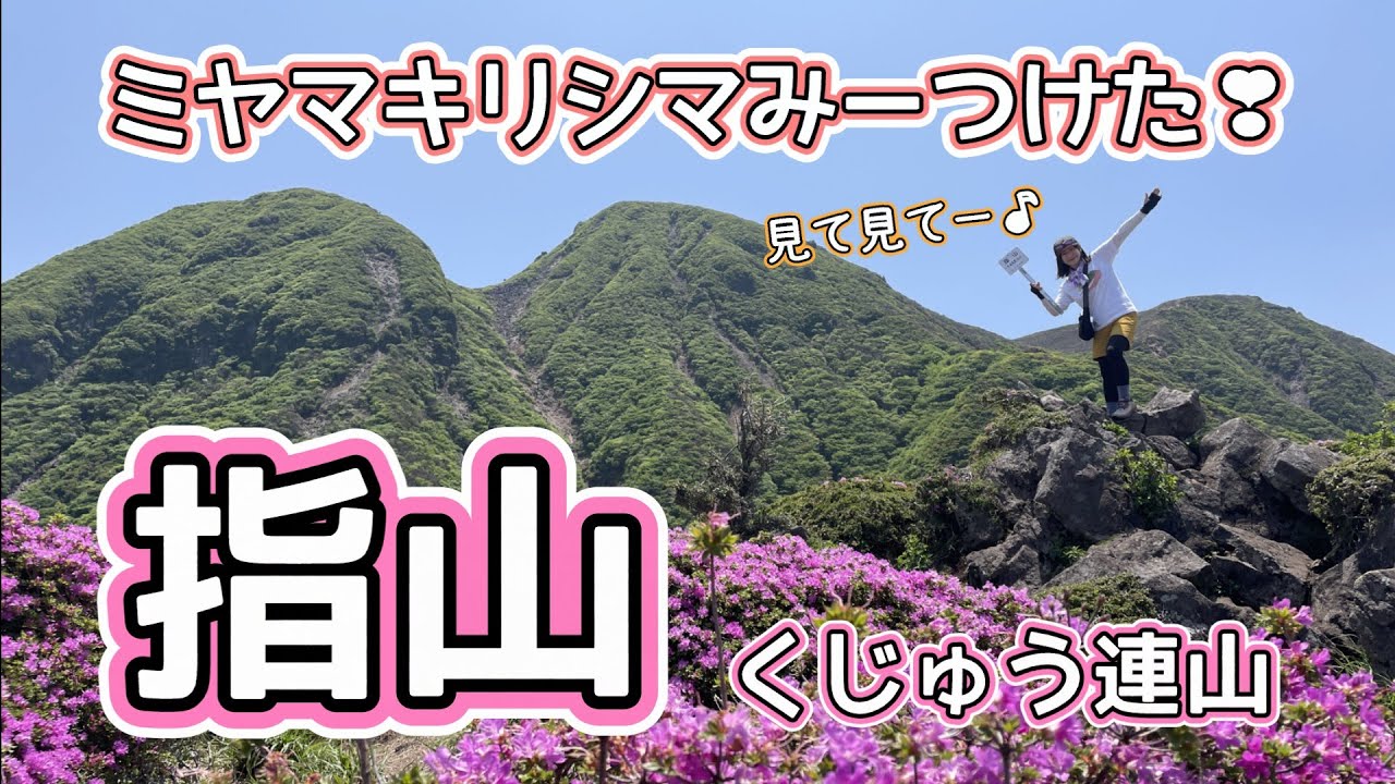 【くじゅう連山：指山】ミヤマキリシマを満喫🌸眺望も素晴らしく三俣山の大魅力を感じる山😆
