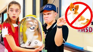 Nastya And The Rules Of Conduct In The Store With Pets And Other Stories For Kids