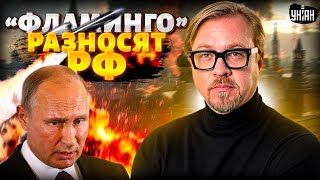 Путин НЕ ТОТ! Фламинго РАЗНОСЯТ Ямальский крест в труху. Азербайджан поднимает войска / Тизенгаузен