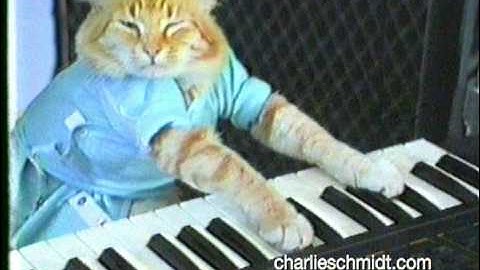 Keyboard Cat Behind The Scenes! - SHOCKING NEW FOOTAGE!