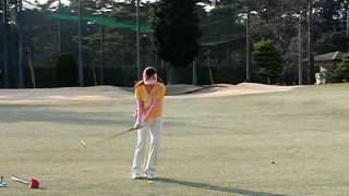 2010224紫あやめ 008.AVI