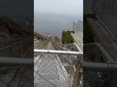 Video: Cara Melihat Mercusuar Point Reyes California