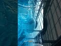 Why Buildings Need to Fail to Survive