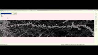 Software to visualize dendrites (big circles) and spine subtypes (different coloured small circles)
