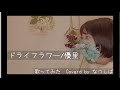 ドライフラワー /優里(Coverd by なつしば)歌ってみた
