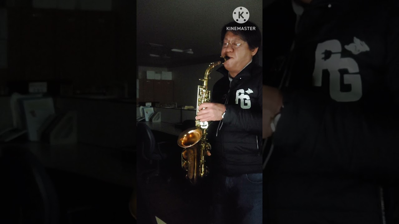 My way frank..2026년 2월 17일