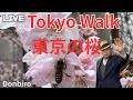 [花見]浅草、谷中霊園、上野公園、千鳥ヶ淵、東京ドームまで歩く