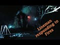 Lineman responding to Fires