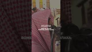 Сура Аль-Кыяма | Аяты 26-29 #люхайдан #коран #чтениекорана