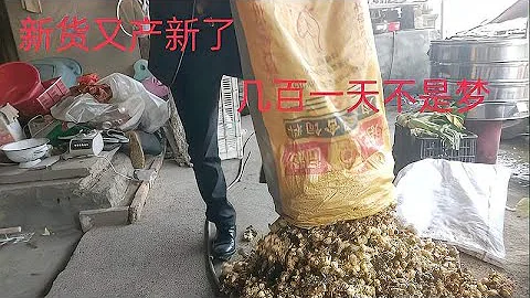 春天到萬物復甦，這種好東西開始產新了，一天賺幾百塊也不是問題 - 天天要聞