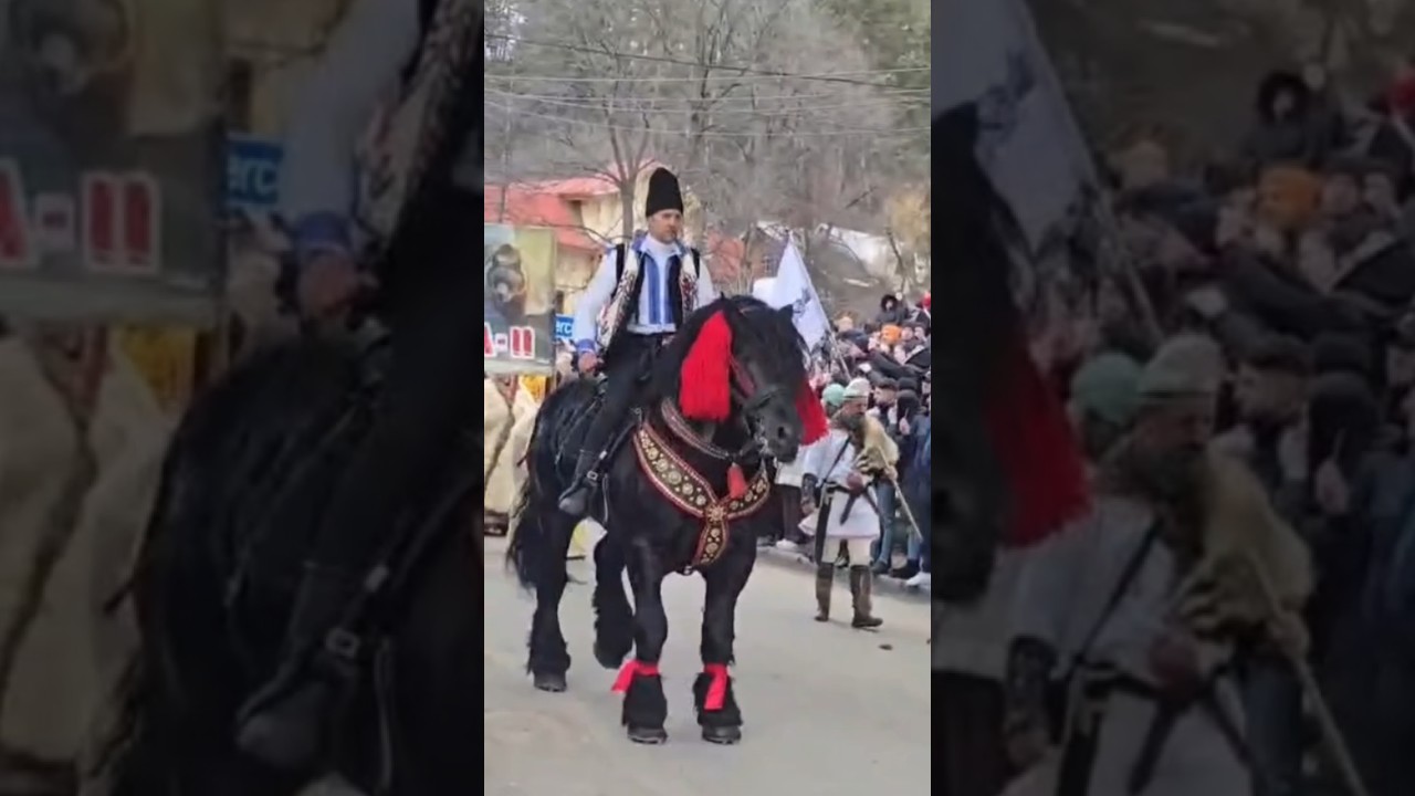 Legendary Horses of Romanian folklore: Myth vs Reality