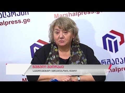 საპარლამენტო უმრავლესობის წევრის გუგული მაღრაძის პრესკონფერენცია
